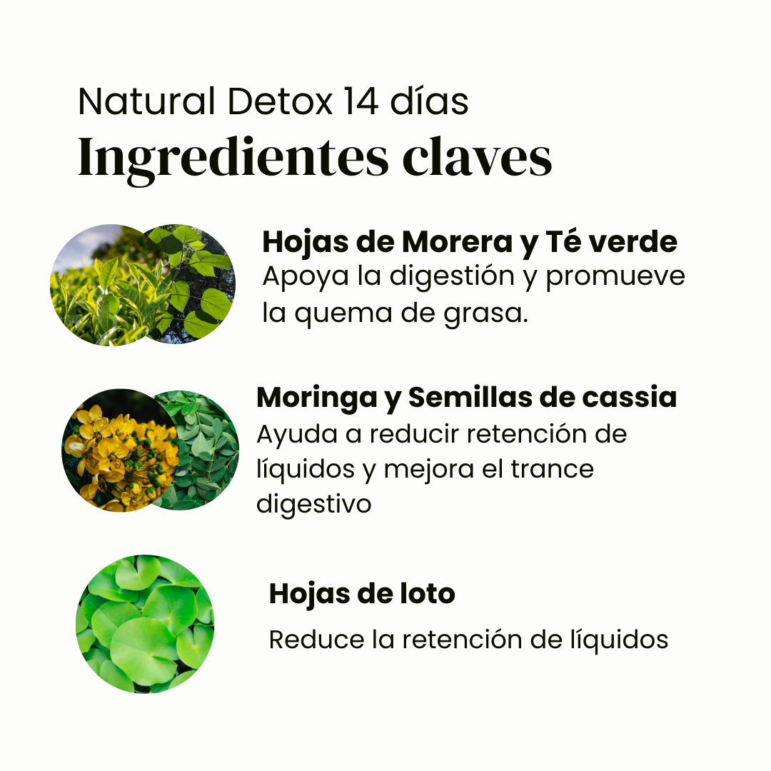 Kit detox intensivo