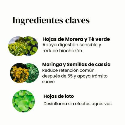 Natural Detox - 14-day Plan✨