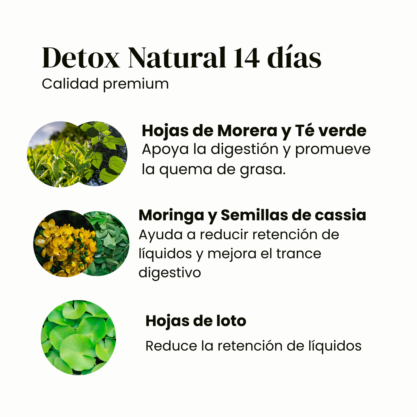 Natural Detox - Plan 14 días✨