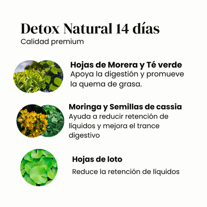 Natural Detox - Plan 14 días✨