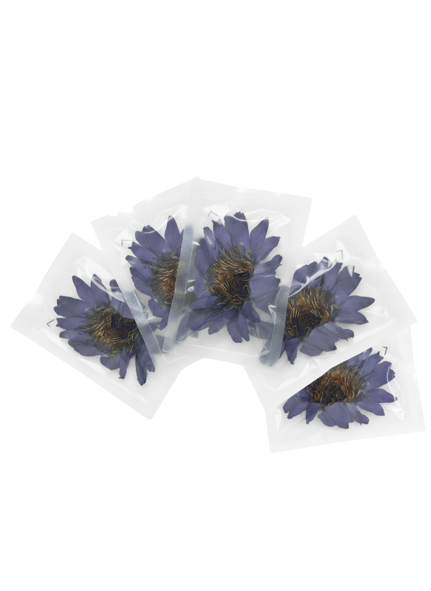 Flor de Loto / Promueve la relajación