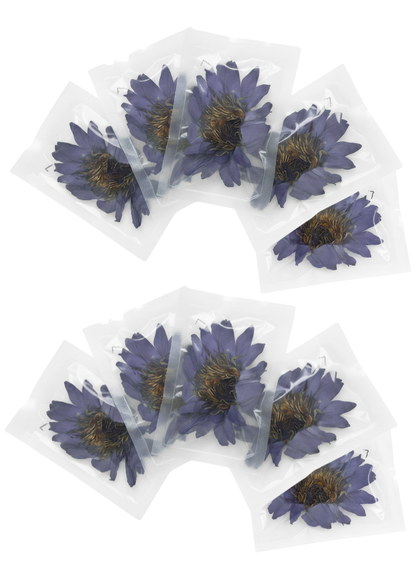 Flor de Loto / Promueve la relajación