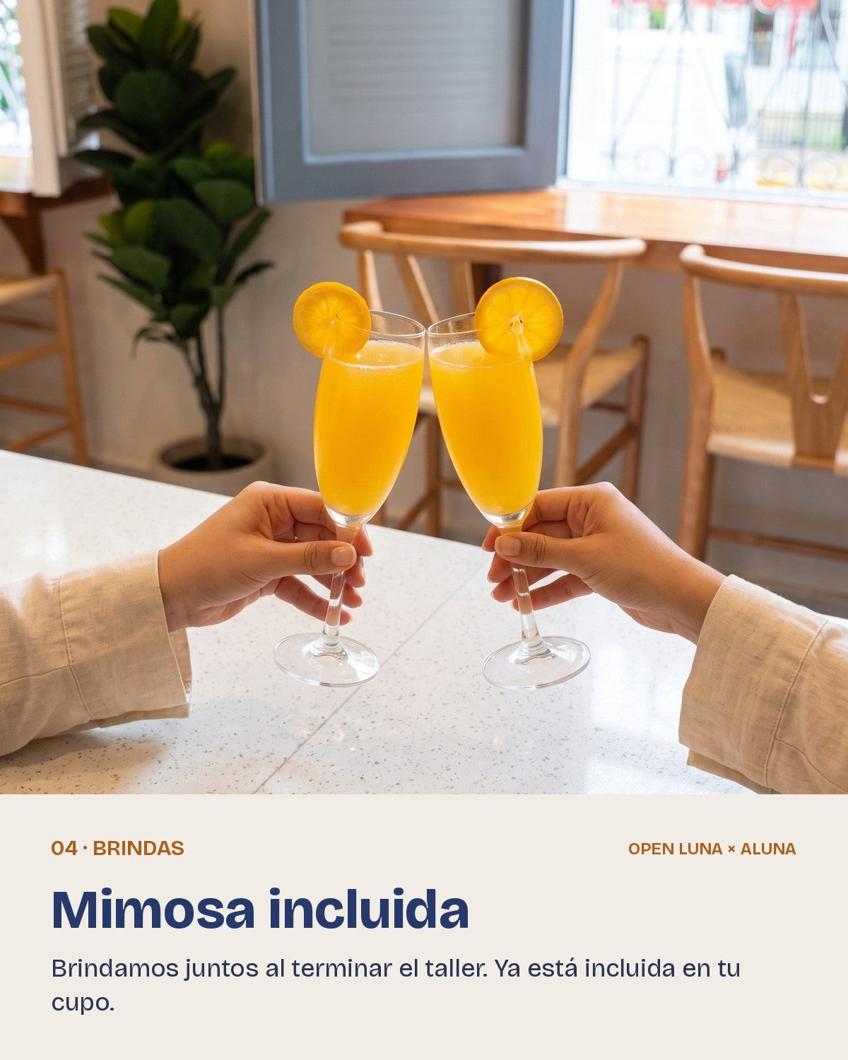 04 Brindis con mimosa incluida