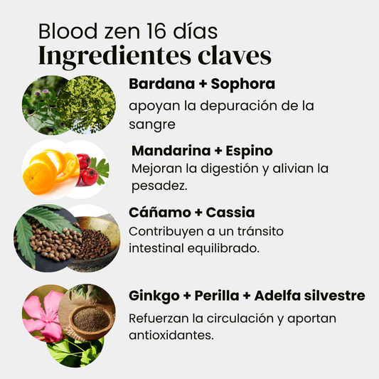Blood Zen 🧘/ Limpieza de la sangre