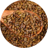 Semillas de Cassia