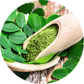 Moringa